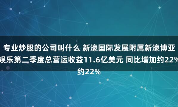 专业炒股的公司叫什么 新濠国际发展附属新濠博亚娱乐第二季度总营运收益11.6亿美元 同比增加约22%
