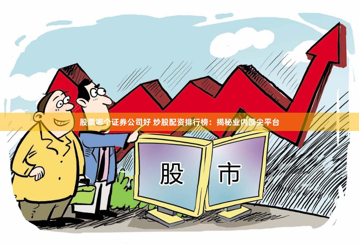 股票哪个证券公司好 炒股配资排行榜：揭秘业内顶尖平台