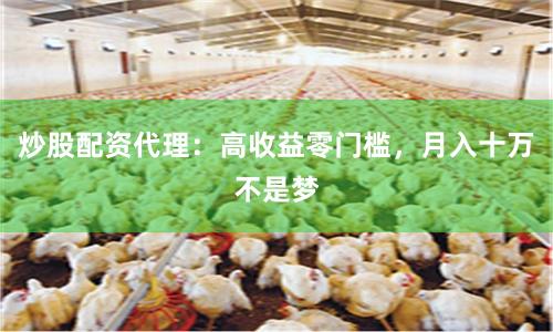 炒股配资代理：高收益零门槛，月入十万不是梦