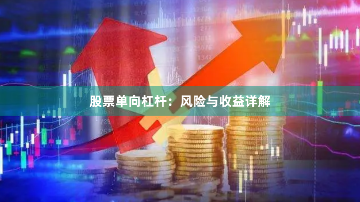 股票单向杠杆:风险与收益详解
